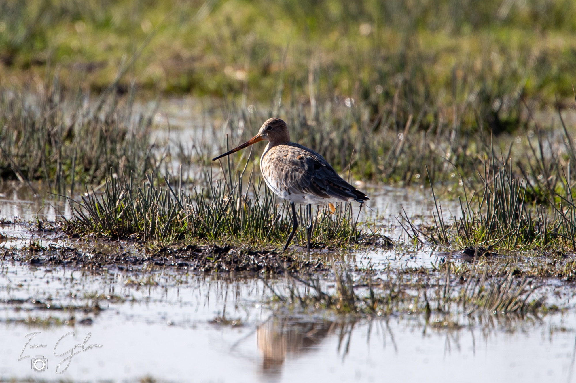 1DX43086 28 februari 2022 1322 04